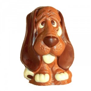 chocolade hond